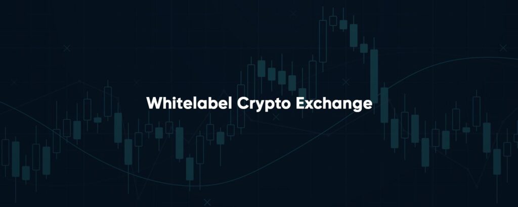 How to select the best White Label cryptocurrency Exchange in 2022?